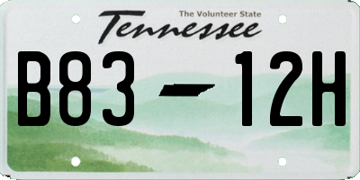 TN license plate B8312H