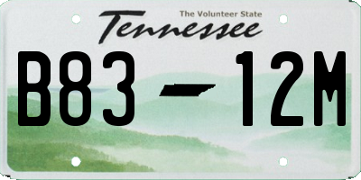 TN license plate B8312M
