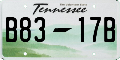 TN license plate B8317B