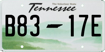 TN license plate B8317E