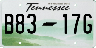 TN license plate B8317G