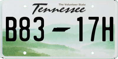 TN license plate B8317H