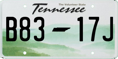 TN license plate B8317J