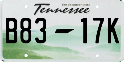 TN license plate B8317K