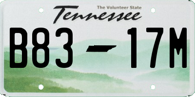 TN license plate B8317M
