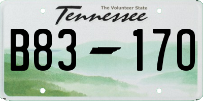 TN license plate B8317O