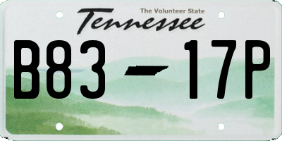 TN license plate B8317P