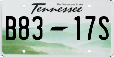 TN license plate B8317S