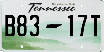 TN license plate B8317T