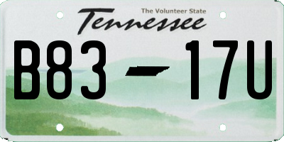 TN license plate B8317U