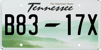 TN license plate B8317X