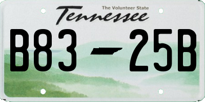 TN license plate B8325B