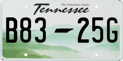 TN license plate B8325G