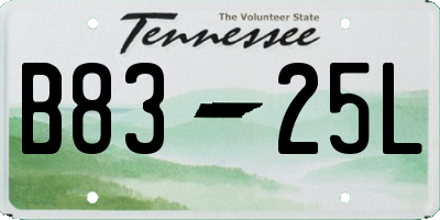 TN license plate B8325L