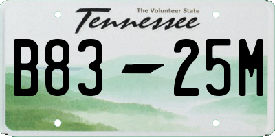 TN license plate B8325M
