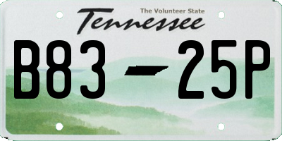 TN license plate B8325P
