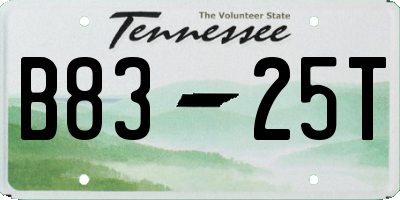 TN license plate B8325T