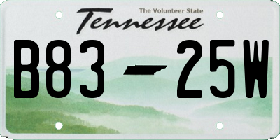 TN license plate B8325W