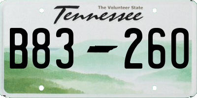 TN license plate B8326O