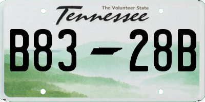 TN license plate B8328B
