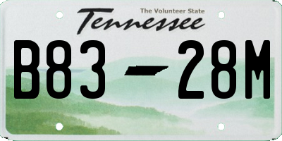 TN license plate B8328M