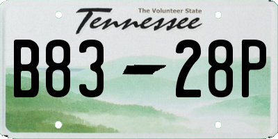 TN license plate B8328P