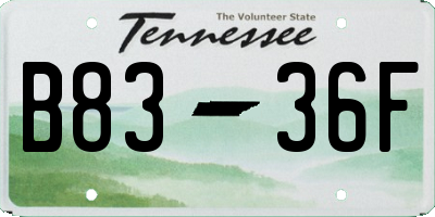 TN license plate B8336F