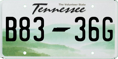 TN license plate B8336G