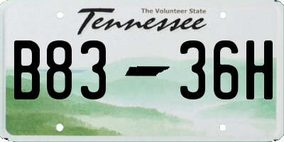 TN license plate B8336H