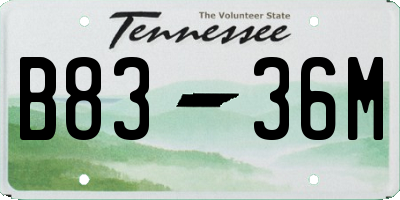 TN license plate B8336M