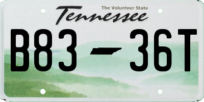 TN license plate B8336T