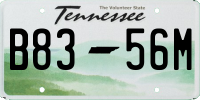 TN license plate B8356M