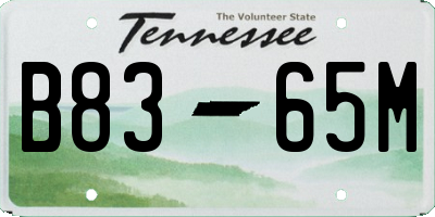 TN license plate B8365M