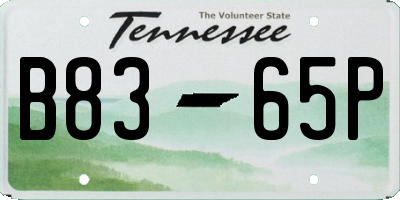 TN license plate B8365P