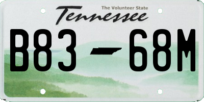TN license plate B8368M