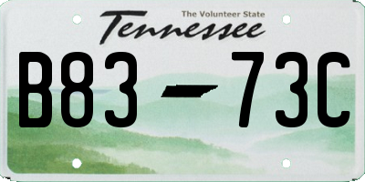 TN license plate B8373C