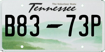 TN license plate B8373P