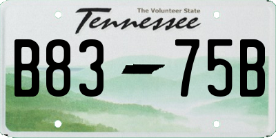 TN license plate B8375B