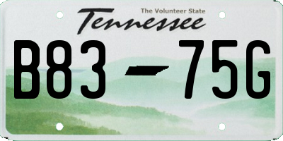 TN license plate B8375G
