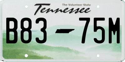 TN license plate B8375M