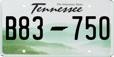 TN license plate B8375O