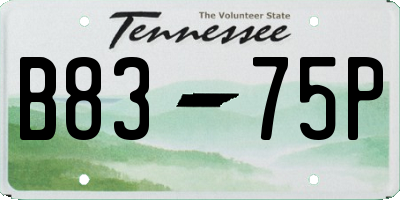 TN license plate B8375P