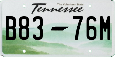 TN license plate B8376M