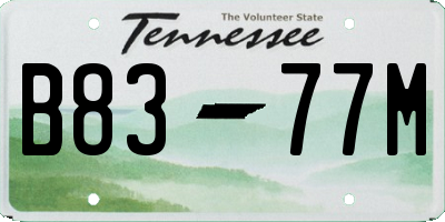 TN license plate B8377M