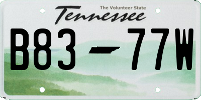 TN license plate B8377W