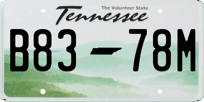 TN license plate B8378M