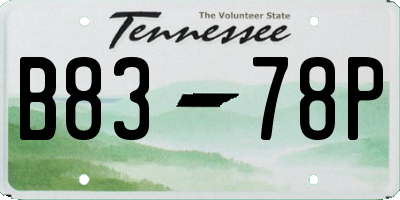 TN license plate B8378P