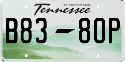 TN license plate B8380P