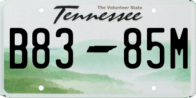 TN license plate B8385M