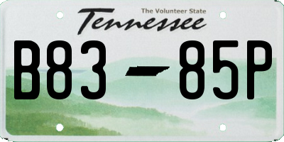 TN license plate B8385P
